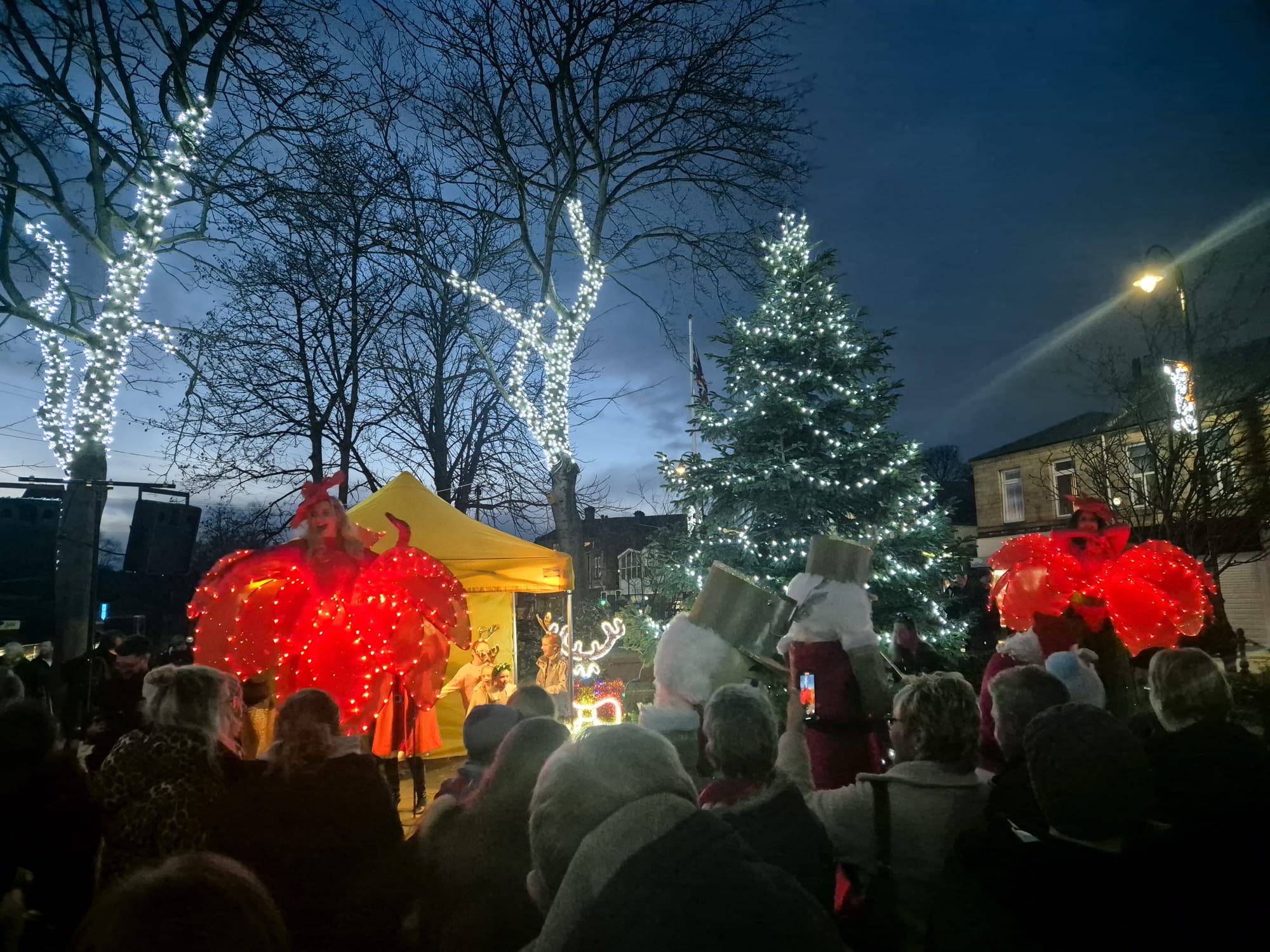 Christmas Lights Switch On